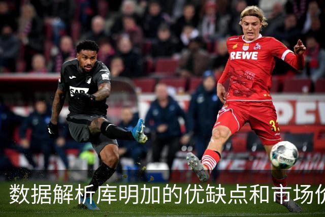 数据解析库明加的优缺点和市场价值，他适合湖人或骑士吗？