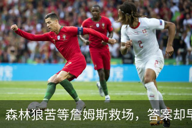 森林狼苦等詹姆斯救场，答案却早已身披5号