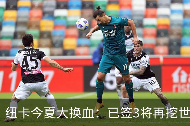 纽卡今夏大换血：已签3将再挖世界杯国脚，托纳利替身浮现